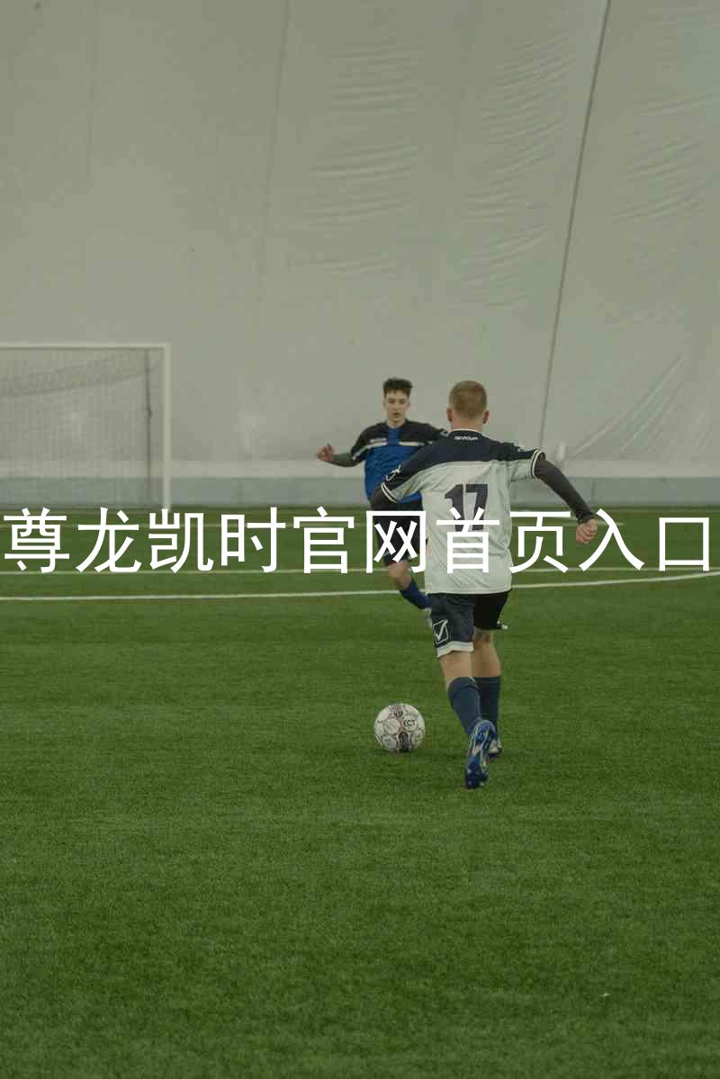 尊龙凯时官网首页入口